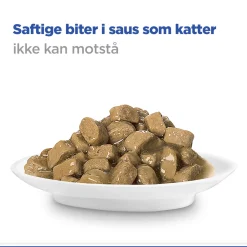 Hill's Kissan Märkäruoka|Kissan Erikoisruoat*Science Plan Cat Adult Sensitive Stomach & Skin Turkey 12x85g