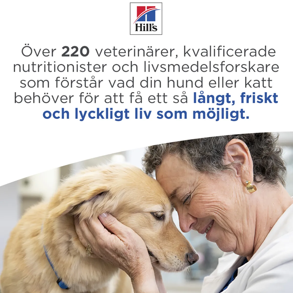 Hill's Koiranruoat Erityistapeisiin|Koiran Märkäruoka Ja Makkarat*Science Plan Dog Hypoallergenic Salmon 363 g