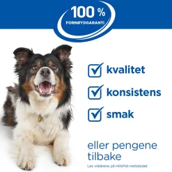 Hill's Koiranruoat Erityistapeisiin|Koiran Märkäruoka Ja Makkarat*Science Plan Dog Hypoallergenic Salmon 363 g