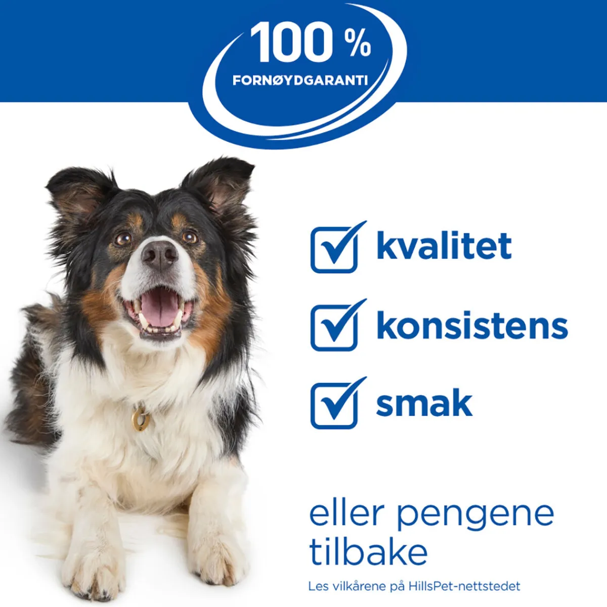 Hill's Koiranruoat Erityistapeisiin|Koiran Märkäruoka Ja Makkarat*Science Plan Dog Hypoallergenic Salmon 363 g