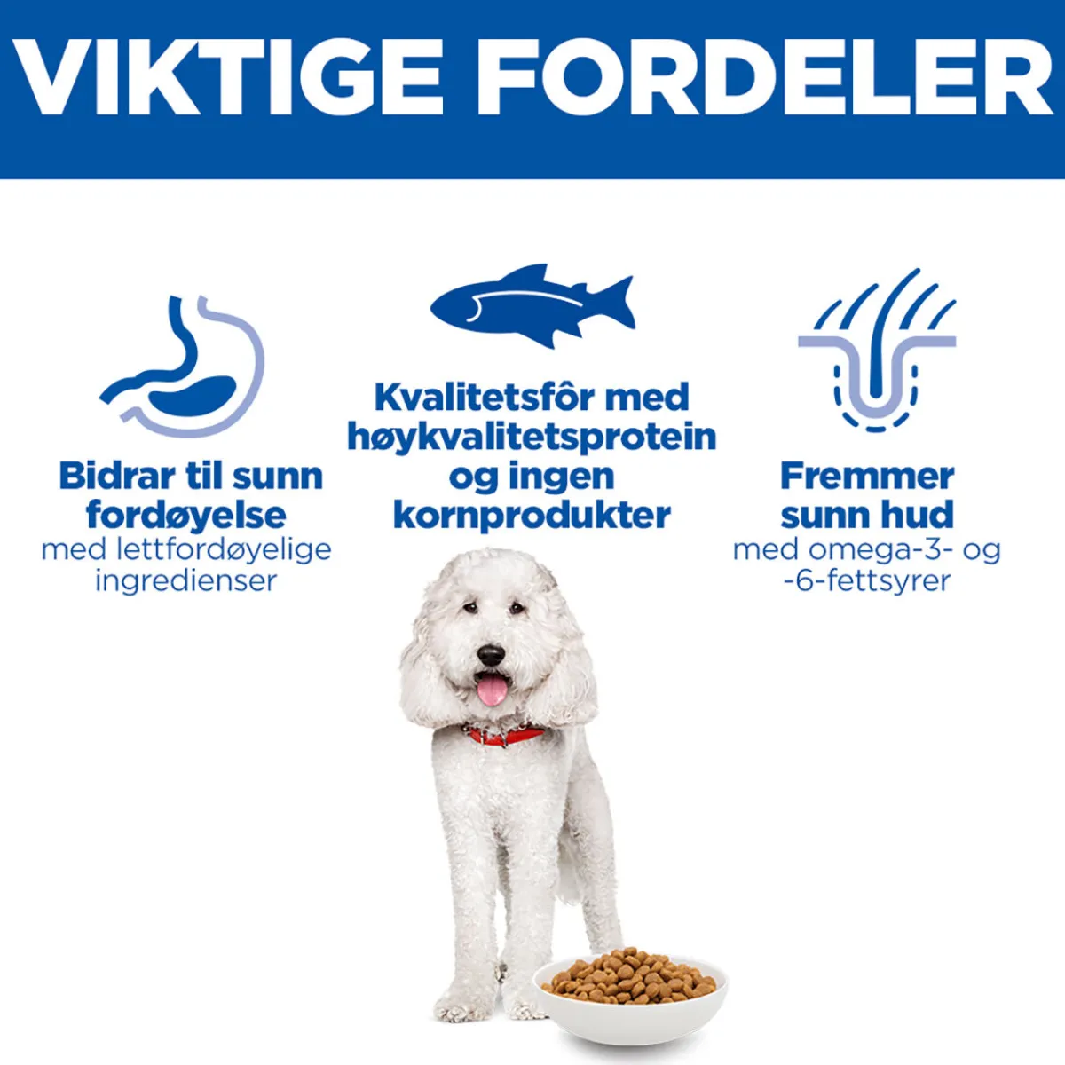 Hill's Koiranruoat Erityistapeisiin|Koiran Märkäruoka Ja Makkarat*Science Plan Dog Hypoallergenic Salmon 363 g