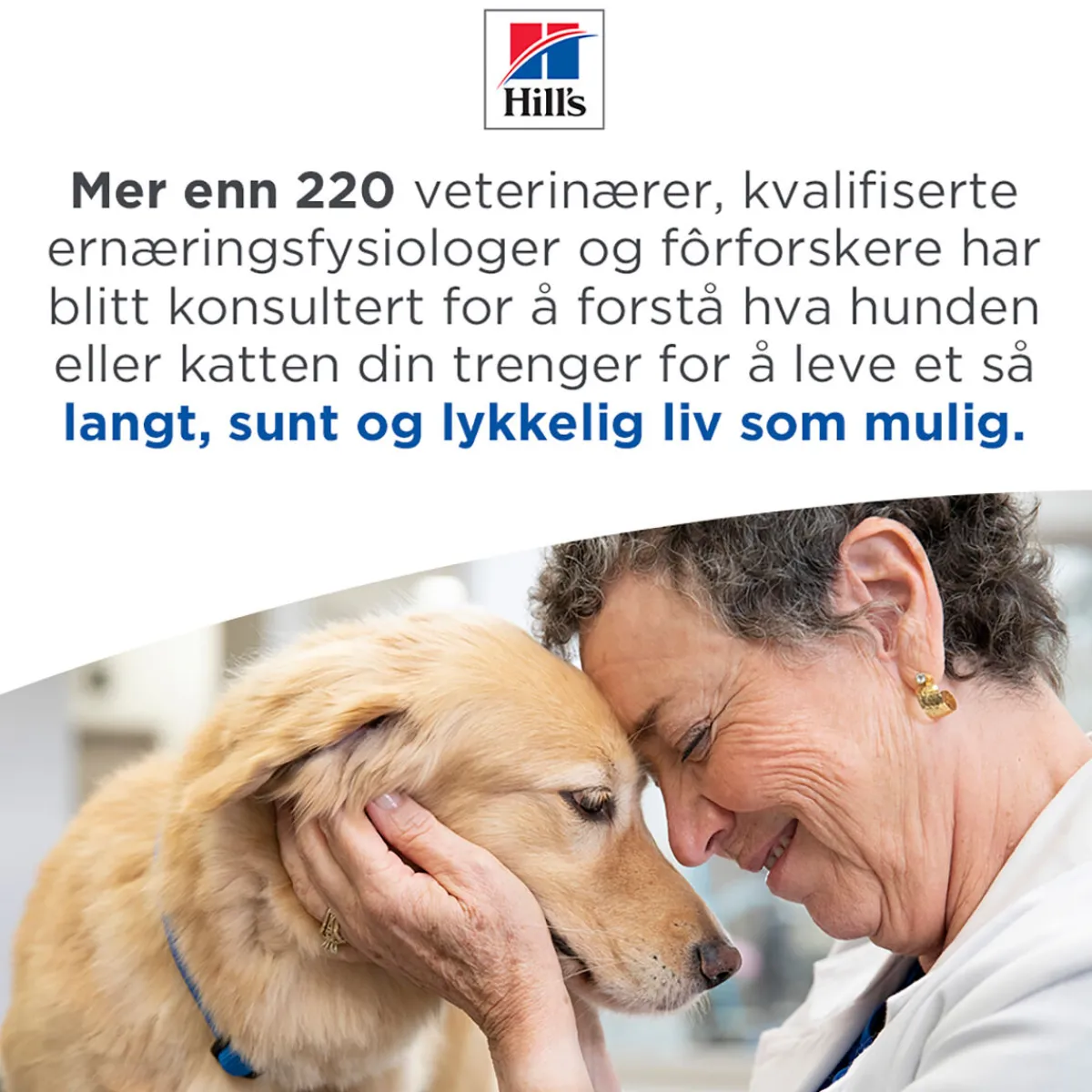 Hill's Koiranruoat Erityistapeisiin|Koiran Märkäruoka Ja Makkarat*Science Plan Dog Hypoallergenic Salmon 363 g