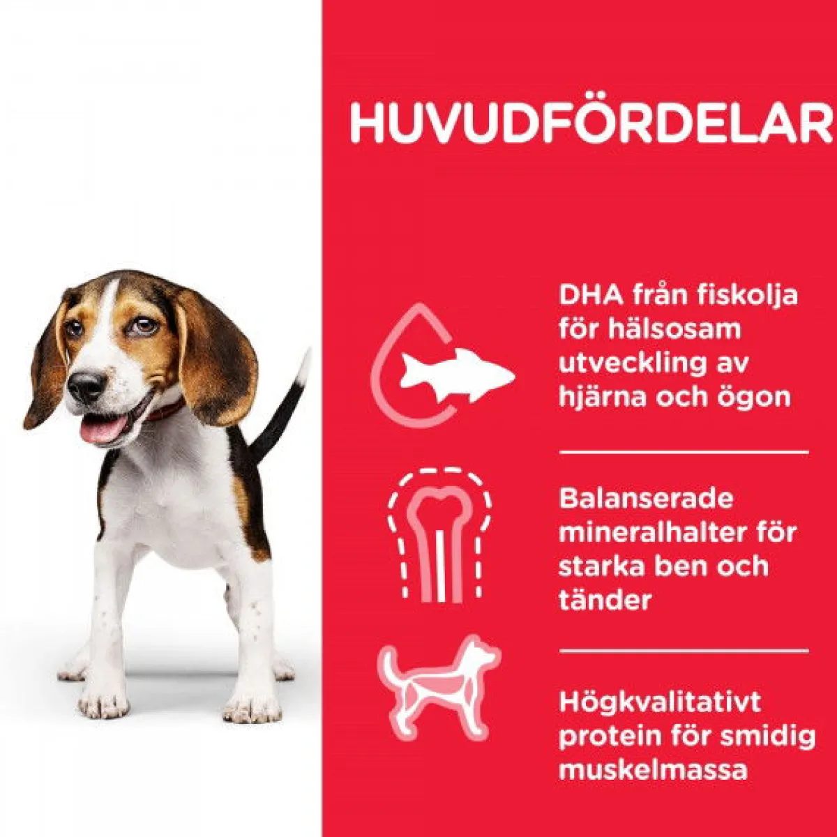Hill's Penturuoka|Koiran Kuivaruoka*Science Plan Puppy Chicken
