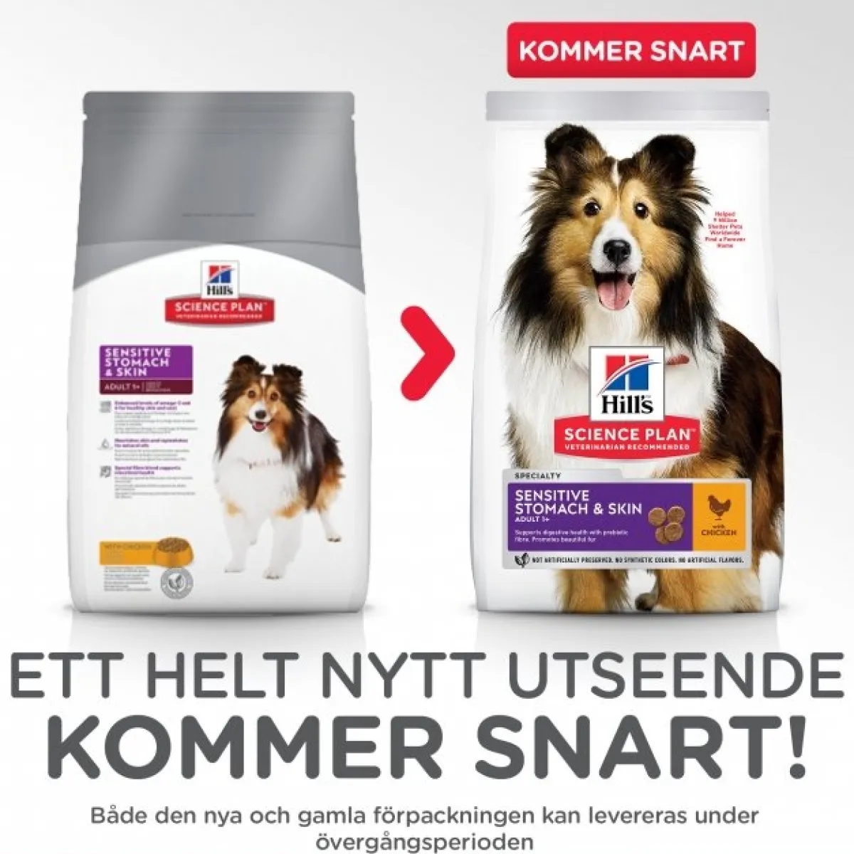 Hill's Koiranruoat Erityistapeisiin|Koiran Kuivaruoka* Science Plan Sensitive Stomach & Skin Medium Chicken 2 x 14kg