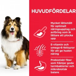 Hill's Koiranruoat Erityistapeisiin|Koiran Kuivaruoka* Science Plan Sensitive Stomach & Skin Medium Chicken 2 x 14kg