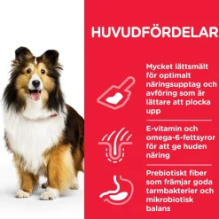 Hill's Koiranruoat Erityistapeisiin|Koiran Kuivaruoka* Science Plan Sensitive Stomach & Skin Medium Chicken 2 x 14kg