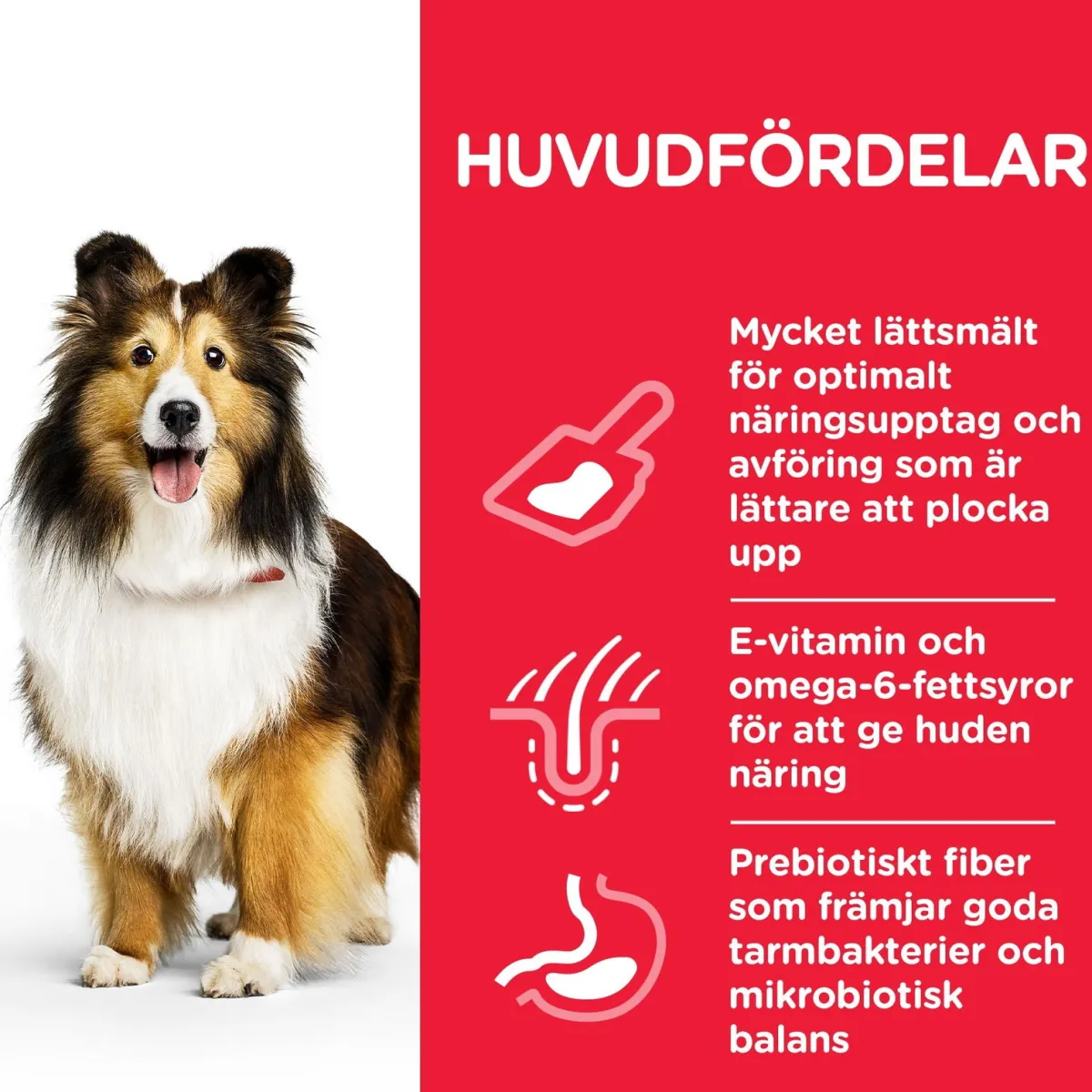 Hill's Koiranruoat Erityistapeisiin|Koiran Kuivaruoka* Science Plan Sensitive Stomach & Skin Medium Chicken 2 x 14kg