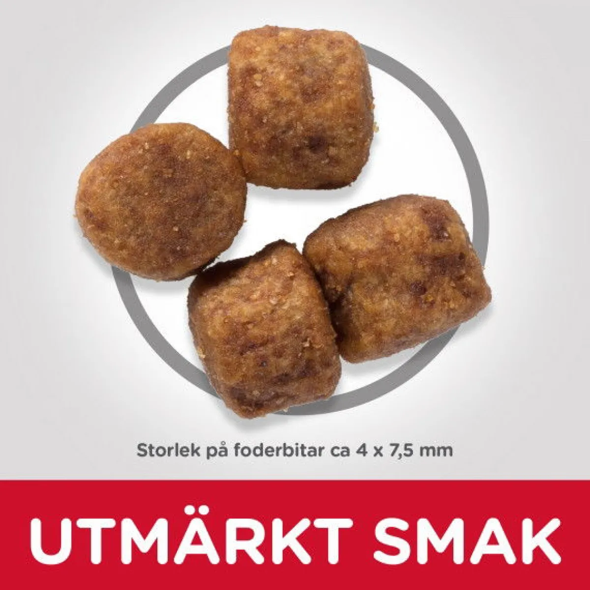 Hill's Koiran Kuivaruoka|Tarjoukset Koirille*SP Adult Healthy Mobility Small & Mini