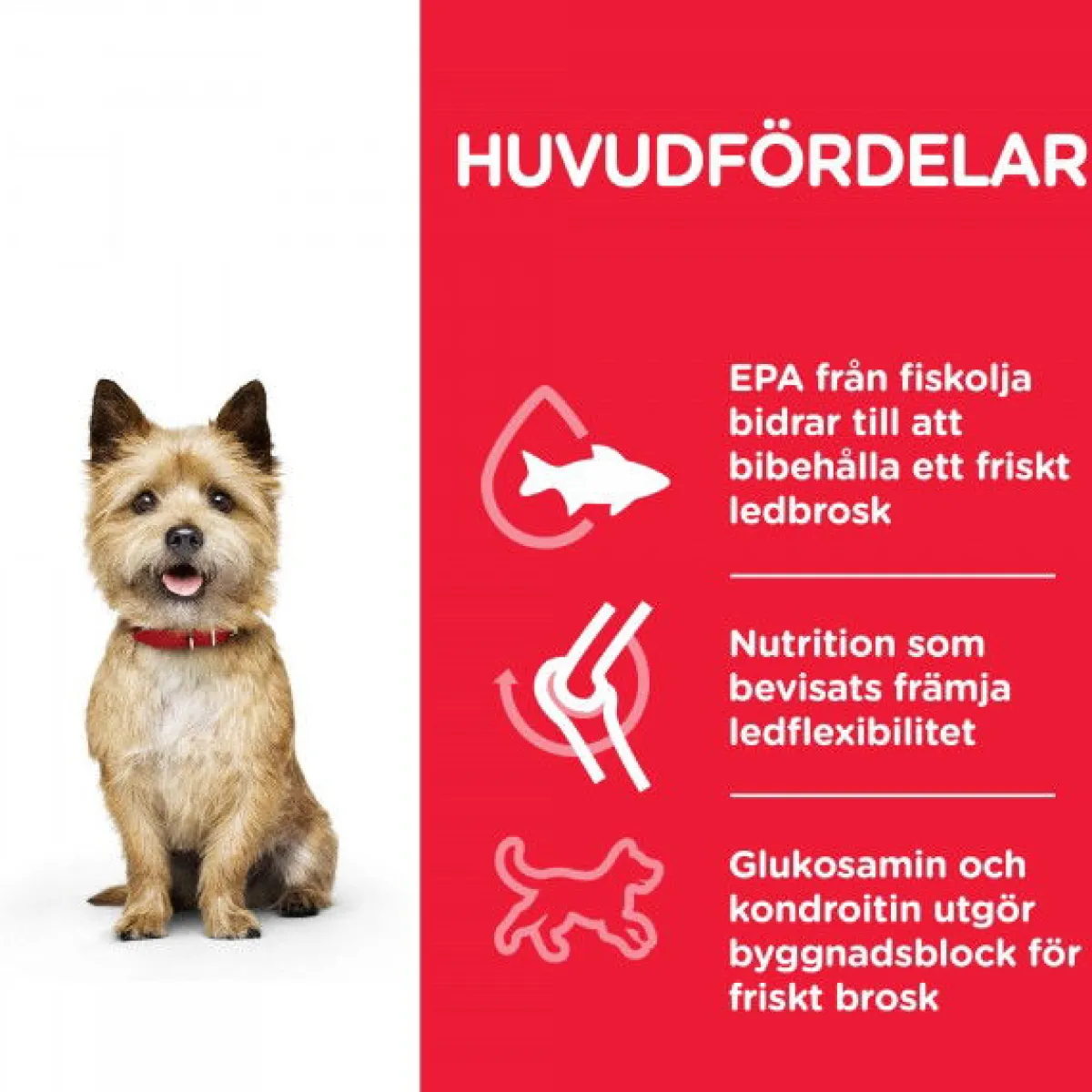 Hill's Koiran Kuivaruoka|Tarjoukset Koirille*SP Adult Healthy Mobility Small & Mini