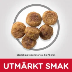 Hill's Koiran Kuivaruoka|Tarjoukset Koirille*SP Adult Small&Mini Lamb