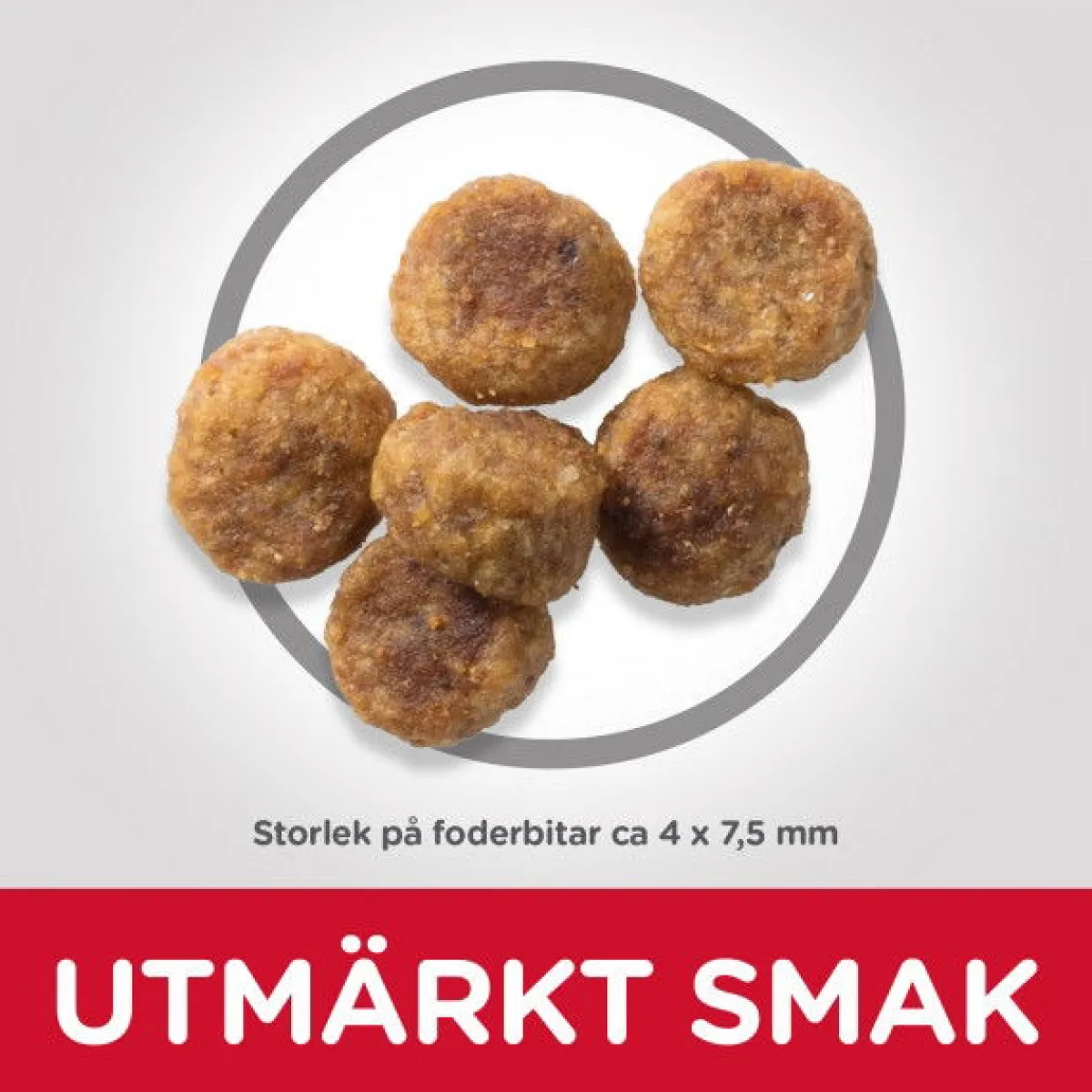 Hill's Koiran Kuivaruoka|Tarjoukset Koirille*SP Adult Small&Mini Lamb