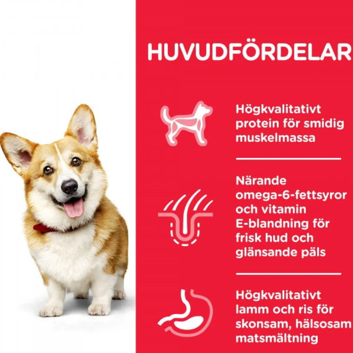 Hill's Koiran Kuivaruoka|Tarjoukset Koirille*SP Adult Small&Mini Lamb