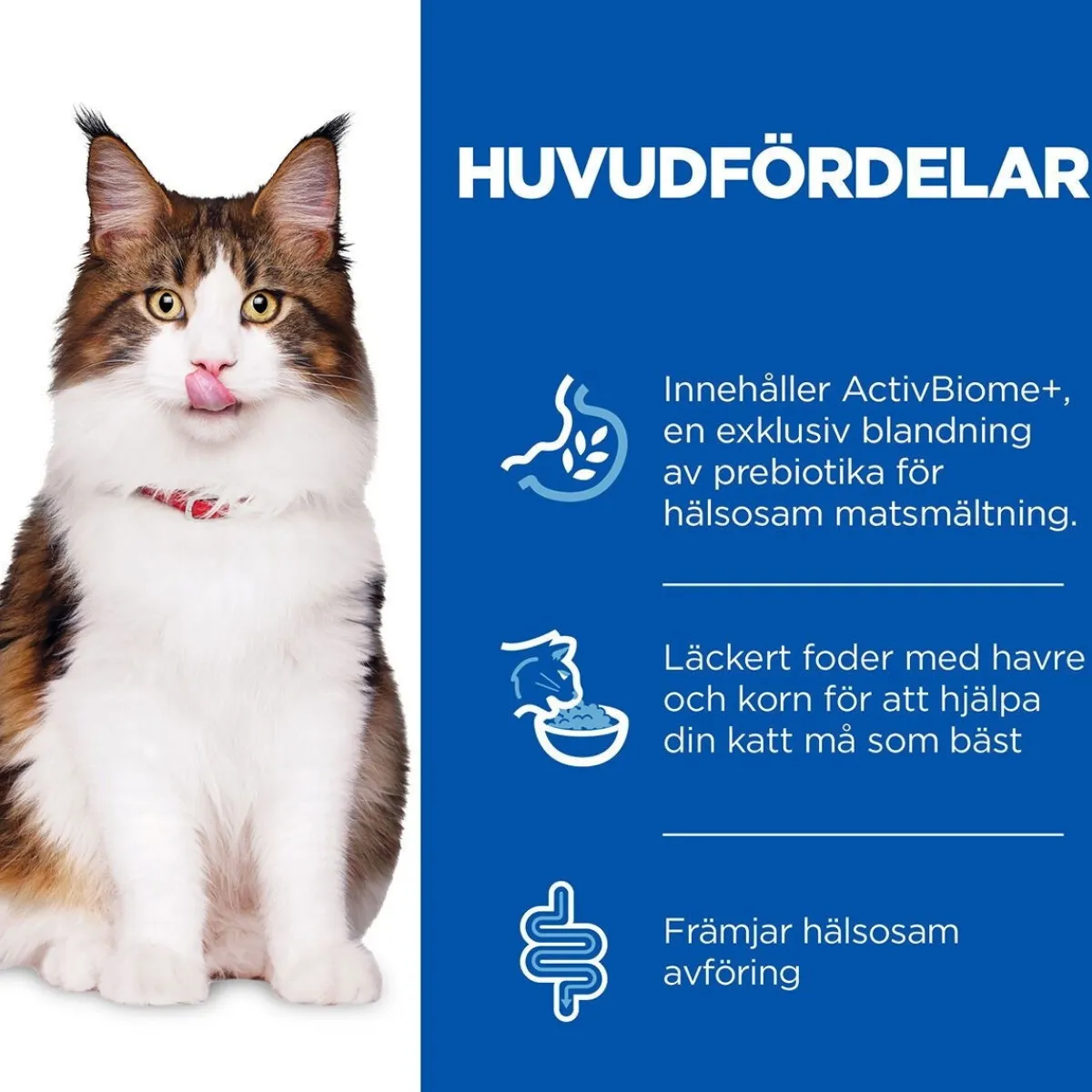 Hill's Kissan Märkäruoka*SP Feline Digestion Adult 1+ 12 x 85 g