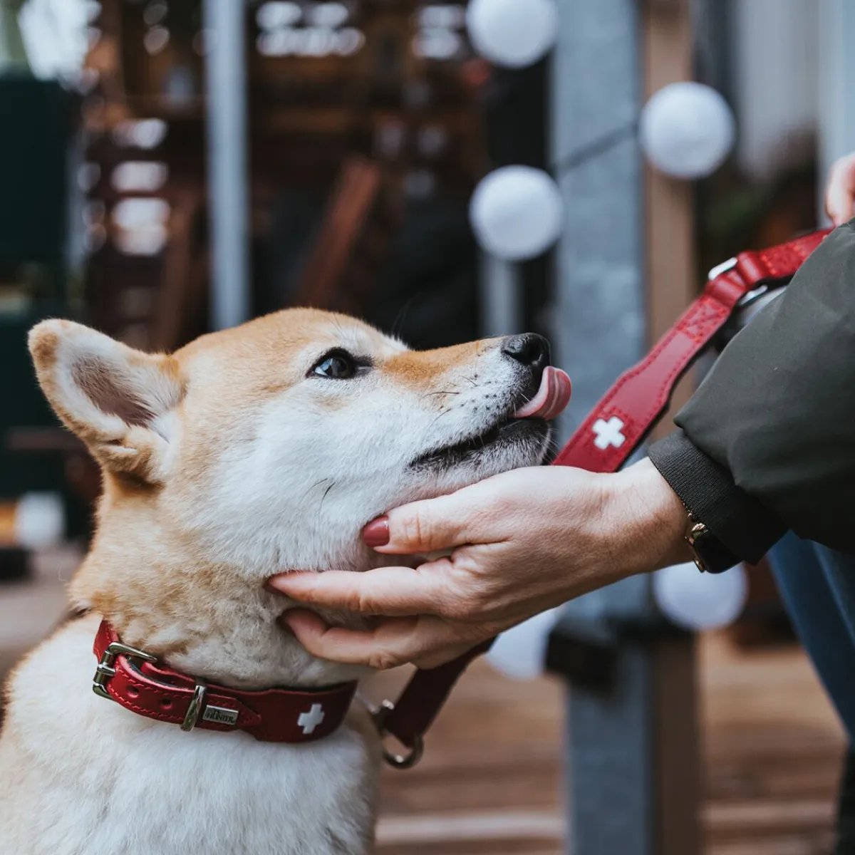Hunter Koiran Pannat|Uutuudet Koirille*Collar Swiss Red