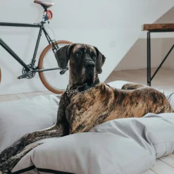 Hunter Koiran Pedit Ja Alustat|Koiran Patjat*Dog Bed Lancaster Grey