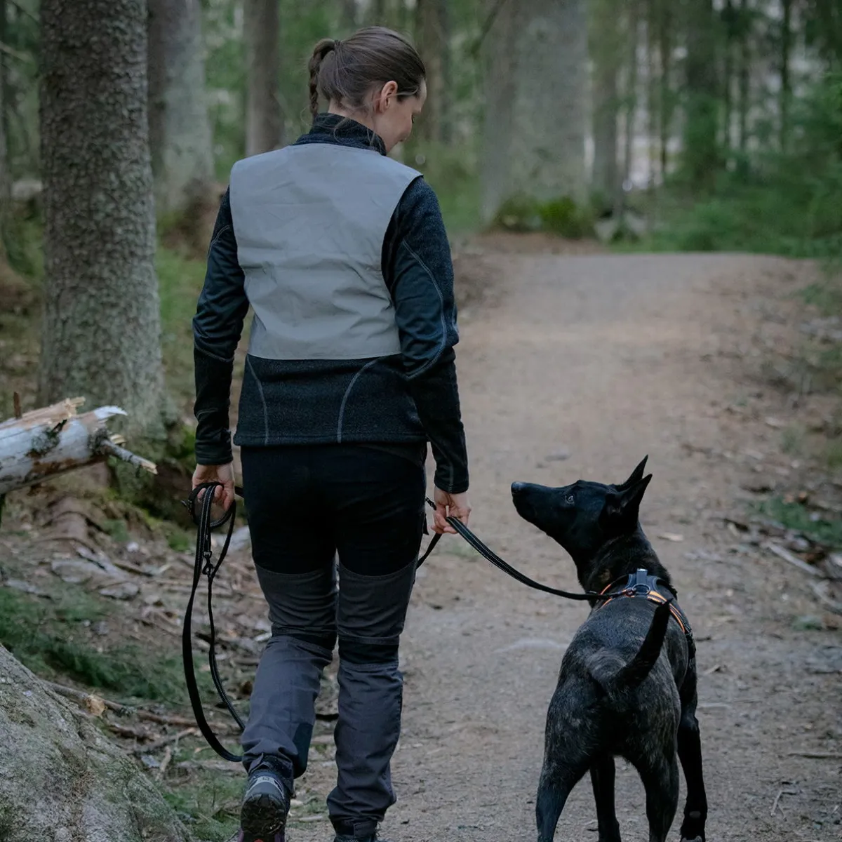 Feel Active Koiran Heijastimet Ja Valot|Koiran Vaatteet*Huomioliivi ihmiselle