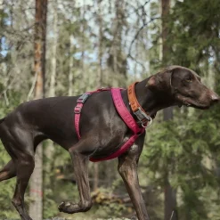 Hurtta Koiran Valjaat*Casual Eco Y-valjas pinkki