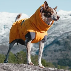 Hurtta Koiran Vaatteet|Koiran Talvitakit*Expedition parka tyrni