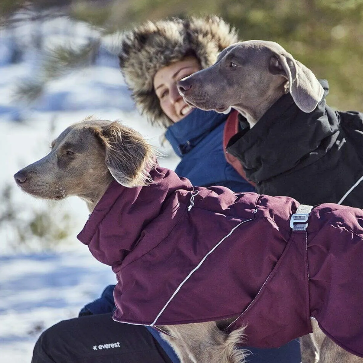 Hurtta Koiran Vaatteet|Koiran Talvitakit*Extreme Warmer III ECO talviparka, munakoiso