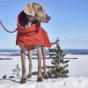 Hurtta Koiran Vaatteet|Koiran Talvitakit*Extreme Warmer III ECO koiran lämpötakki, kaneli
