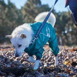 Hurtta Koiran Vaatteet*Mudventure ECO -koiran sadehaalari, riikinkukko