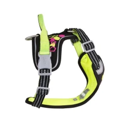 Hurtta Koiran Valjaat*Weekend Warrior Neon-valjaat, lakritsi