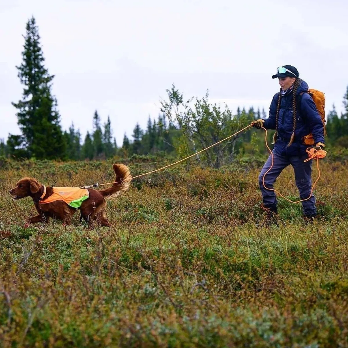 Non-stop dogwear Jälkiliinat|Metsästys Ja Jäljestys*Jälkiliina koiralle Non-Stop Protector round 10 m