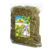 Jr Farm Degun Ruoka|Chinchillan Ruoka*Voikukkasekoitus 500g