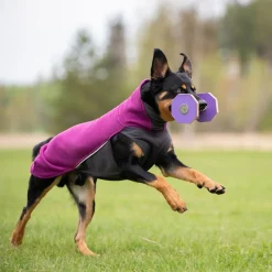 Pomppa Koiran Fleecetakki|Koiran Vaatteet*Jumppa paita, luumu