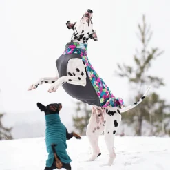 Pomppa Koiran Vaatteet|Koiran Takit*Jumppa, Trail