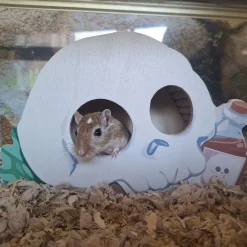 Duvoplus Pieneläinten Häkin Sisustus|Hamsterin Häkin Sisustus*Jyrsijän mökki, pääkallo Duvo+