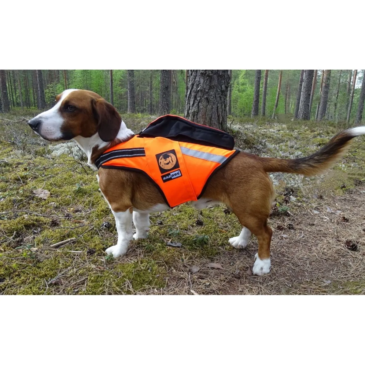 Kardog Koiran Gps*-kelluttava GPS-liivi Jehu