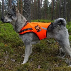 Kardog Koiran Vaatteet|Koiran Huomioliivit*Kelluttava liivi Jeri,