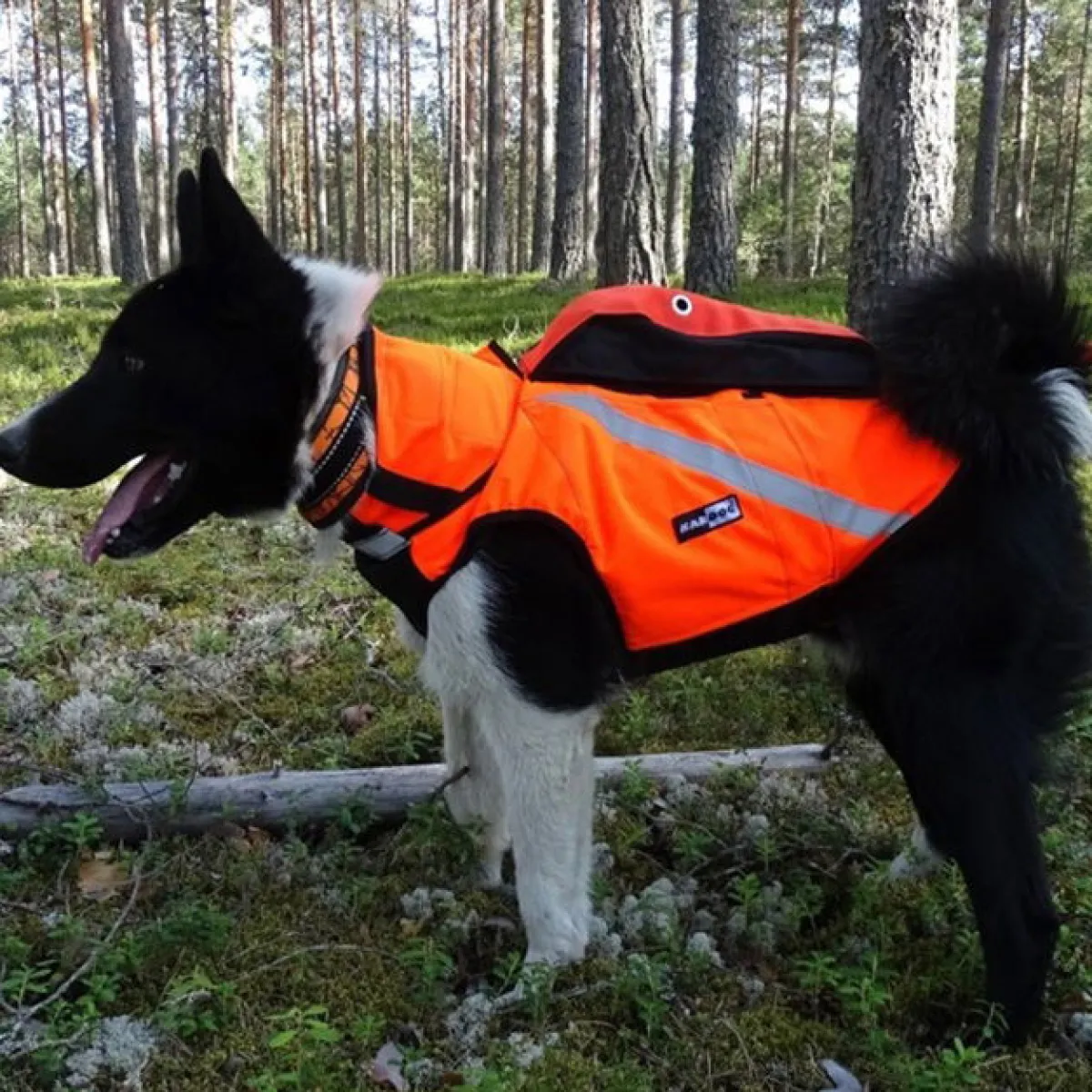 Kardog Koiran Vaatteet|Koiran Huomioliivit*Kevlar-liivi koiralle,