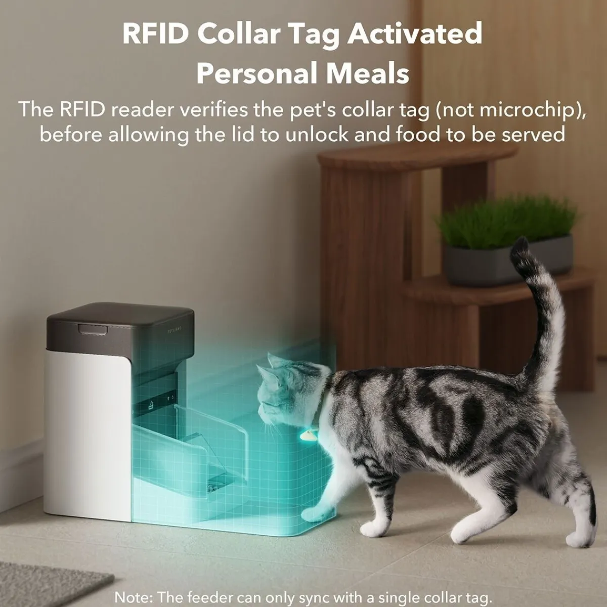 Petlibro Kissan Ruoka-Automaatit|Ruoka-Automaatit*Kissan ruokinta-automaatti One RFID-lukijalla