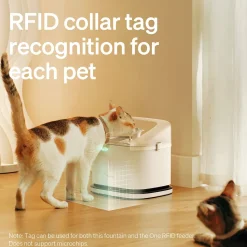 Petlibro Vesiautomaatit|Kissan Juoma-Automaatit*Kissojen juoma-automaatti Dockstream RFID Multi Cats