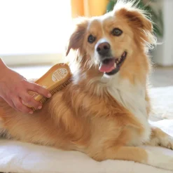 MagicBrush Harjat, Karstat Ja Suat|Koiran Trimmaus Ja Turkinhoito*Koiran harja Dog Soft
