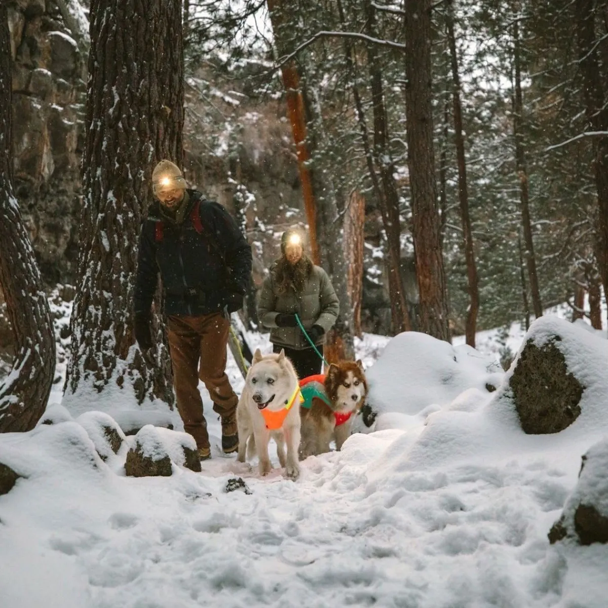 RuffWear Koiran Heijastimet Ja Valot|Koiran Vaatteet*Koiran heijastintakki Lumenglow
