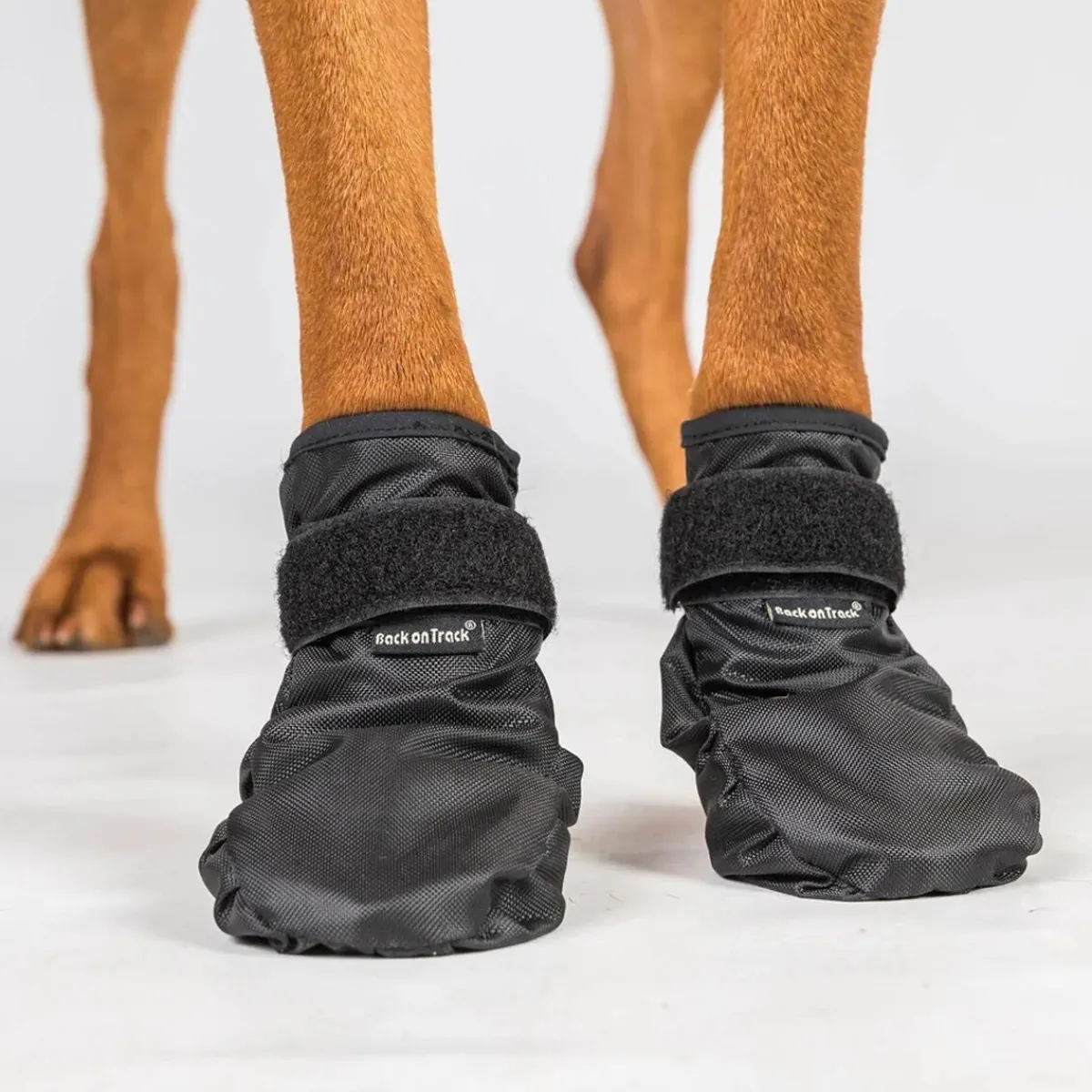 Back on Track Koiran Vaatteet|Koiran Tossut*Koiran liukuestesukat Koda
