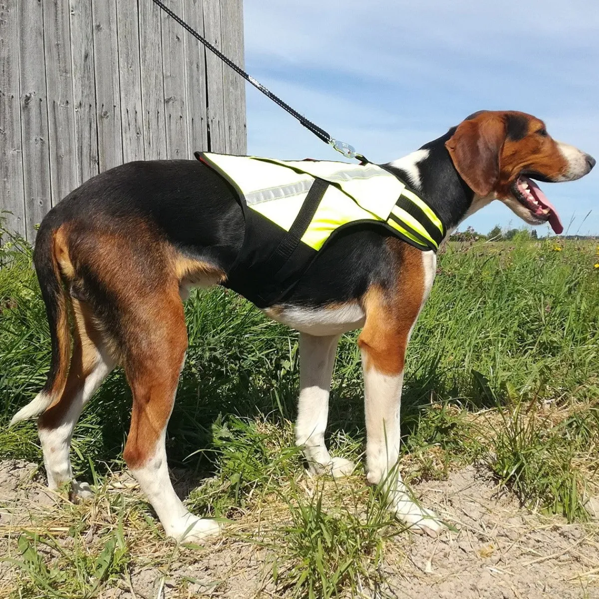 Kardog Koiran Vaatteet|Koiran Huomioliivit*Koiran metsästysliivi Rymy,