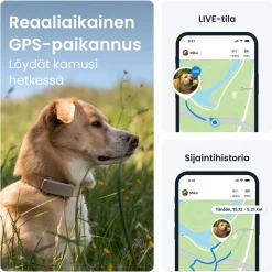 Tractive Retkeily Koiran Kanssa|Retkeily*Koiran paikannin DOG 6