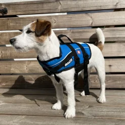 Baltic Koiran Vaatteet|Pelastusliivit*Koiran pelastusliivi Mascot, sininen