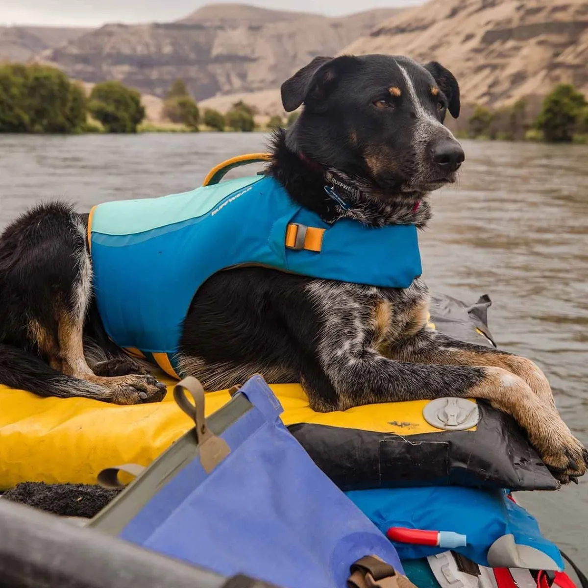RuffWear Koiran Vaatteet|Pelastusliivit*Koiran pelastusliivit Float Coat, sininen