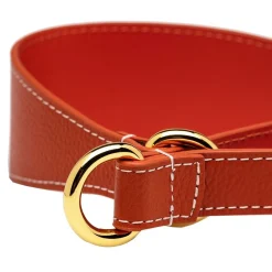 Collar of Sweden Koiran Pannat*Koiran puolikiristävä panta , konjakki