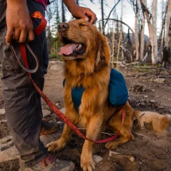 RuffWear Koiran Reput|Retkeily*Koiran reppu Front Range, sininen