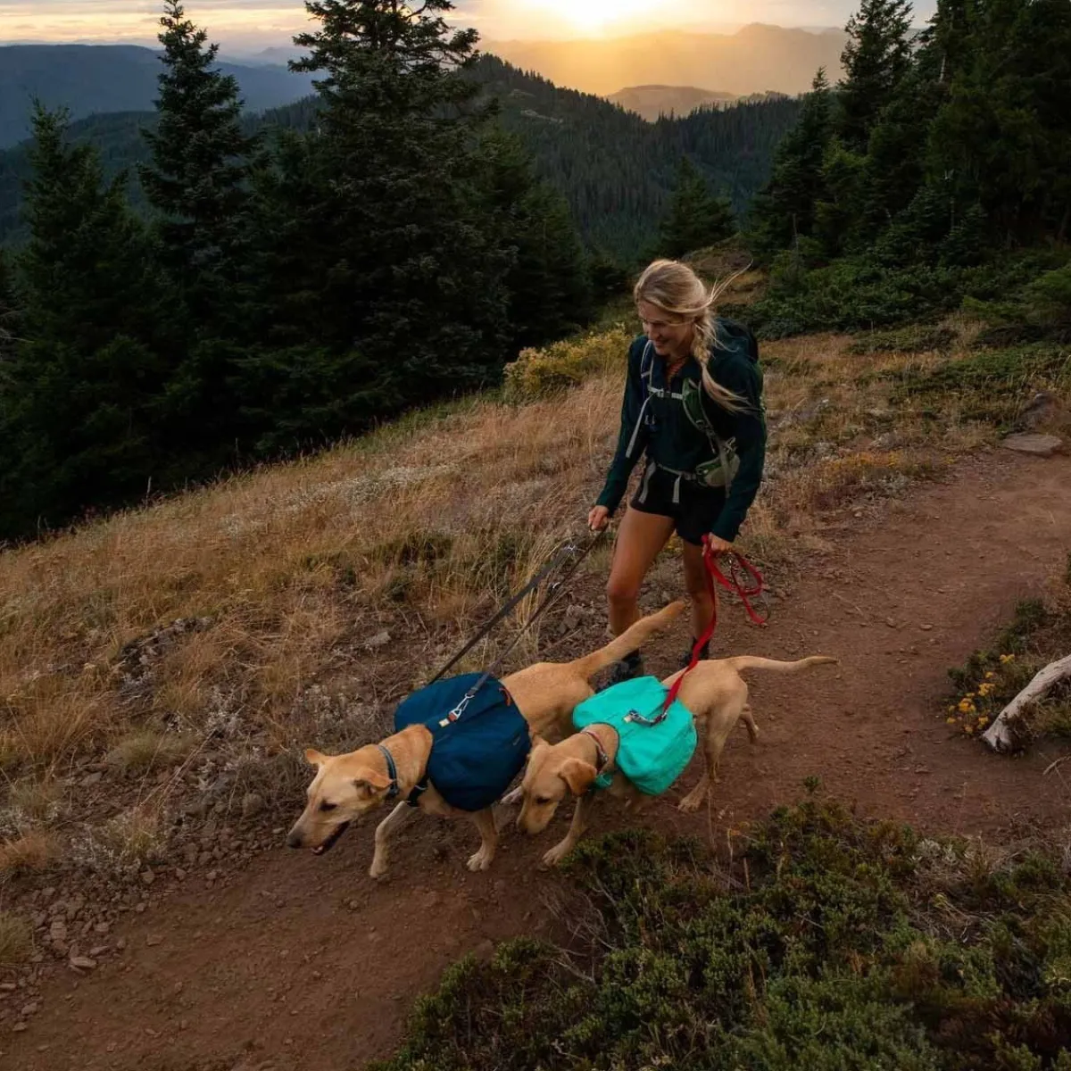 RuffWear Koiran Reput|Retkeily*Koiran reppu Front Range, sininen
