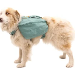 RuffWear Koiran Reput|Retkeily*Koiranreppu Front Range, River Rock Green
