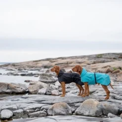 Feel Active Koiran Vaatteet|Koiran Sadetakki*Koiran sadetakki Göteborg musta