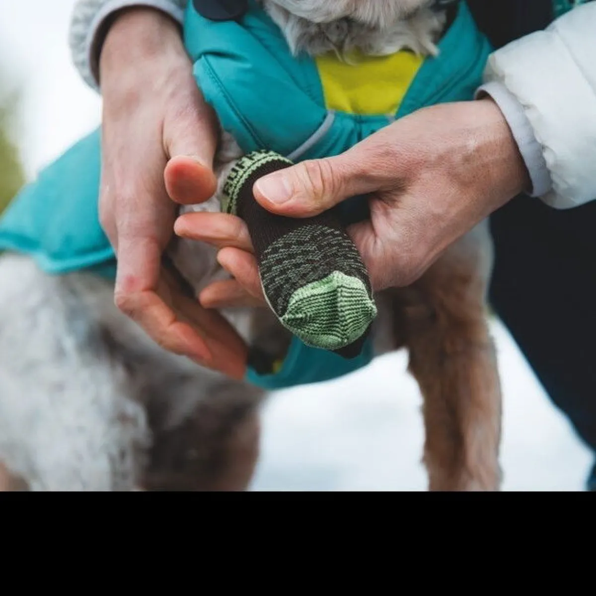 RuffWear Koiran Vaatteet|Koiran Tossut*Koiran sukat Bark'n Boot