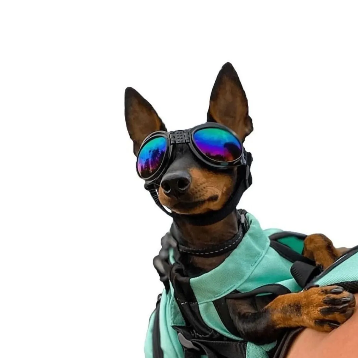 K9 Sport Sack Matkustaminen|Koiran Kuljetus Ja Autoilu*Koiran suojalasit K9 Sport Shades, musta